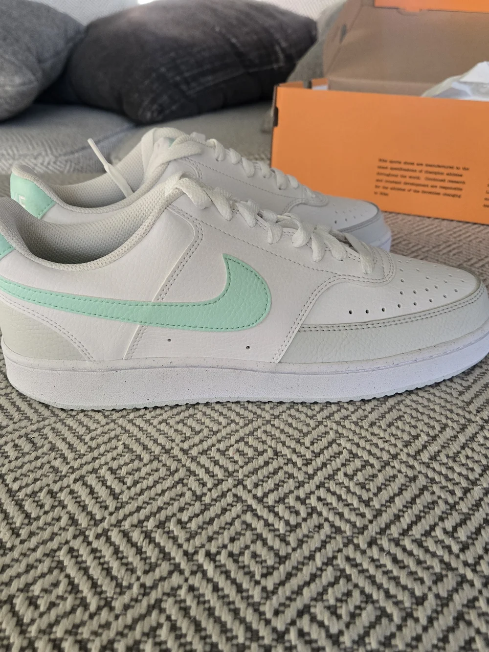 Nike Men’s Court Vision Low Top with Mint Swoosh